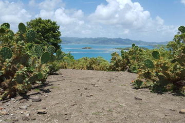 EXCLUSIVE DAY ON THE PRIVATE CHANCEL ISLET BY JEEP OR HORSE DRAWN CARRIAGE