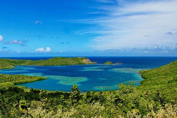 La Caravelle Hike in Martinique