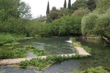 Caesarea Philippi and National Parks Dan and Nimrod Tour of the Northern israel