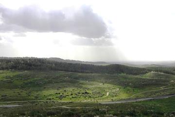 Southern Israel Wine Tour From Tel Aviv