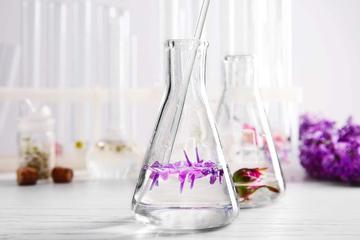 CUSTOMIZE PERFUMES: just follow your nose