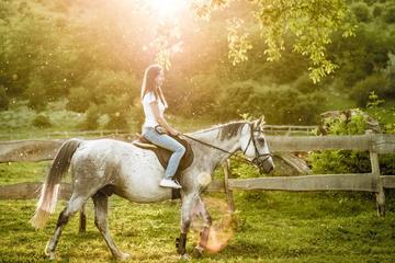 Half-day Chianti Horseback Riding, Lunch and Wine Tasting Tour from Castellina