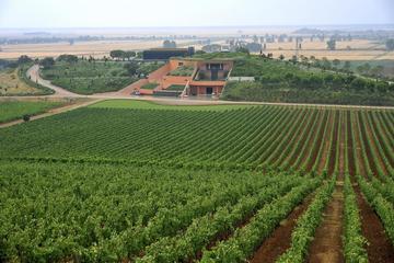 Luxury Maremma wine tour