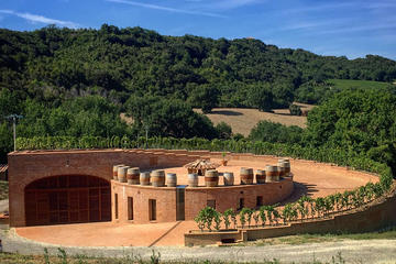 Luxury Montalcino wine tour