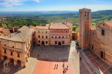 Montalcino and Montepulciano Full-day Tour (from Sa Gimignano)