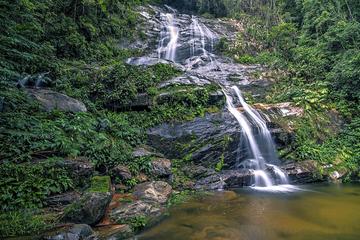 Private Tijuca Forest and Christ the Redeemer Tour