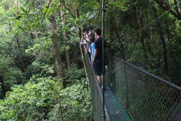 Hanging Bridges Tour at 100% AventuraPark
