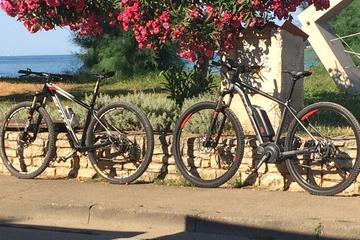 Private Tour: Electric Bike Experience of Pula