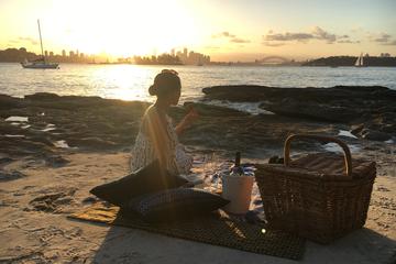 Private Sydney Coastal Tour with Picnic