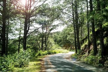 Dalat - Mui Ne full day Cycling Tour