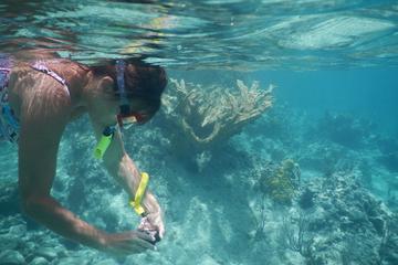 DISCOVER MUN ISLAND WITH DIVING TOUR