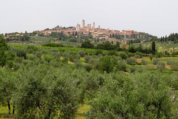 Siena and San Gimignano Day Trip with Wine Tasting
