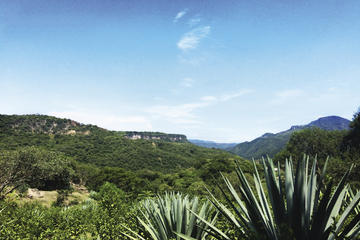 Mezcal Cultural Day Trip Including Tasting and Lunch from Mexico City