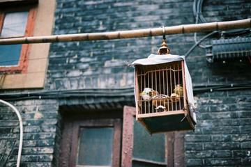 4-Hour Private Customized Shanghai City Tour
