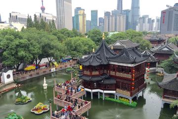 Private Shanghai City Discovery Day Tour with Lunch