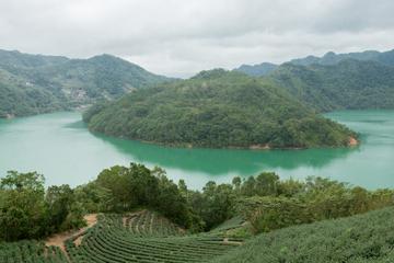 5-Hour Thousand Island Lake and Pinglin Tea Plantation Scenery Tour