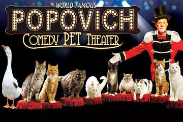 Popovich Comedy Pet Theater at Planet Hollywood Resort and Casino