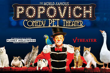 Popovich Comedy Pet Theater no Planet...