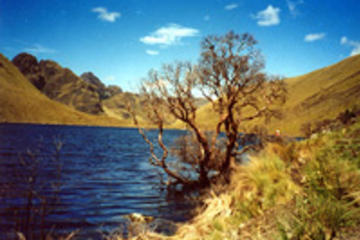 Full Day Tour to National Park of Cajas