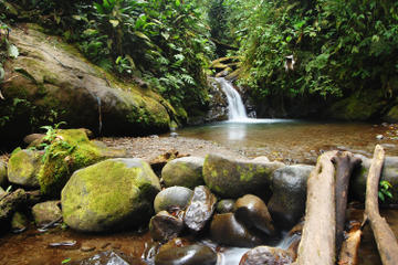 Private Tour: Mindo Nambillo Cloud Forest Reserve from Quito