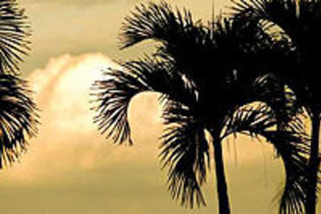 Private Tour to Salinas Beach