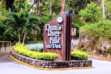 Dunn's River Falls Tour from Lucea