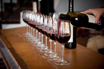 Wine Tasting of the Great Wines of Valpolicella in Verona City Center