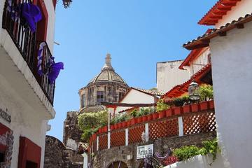 Mexico City: Book a Local Host for half a day