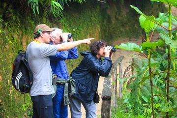 Birdwatching Tour in Tinajillas Forest area from Cuenca