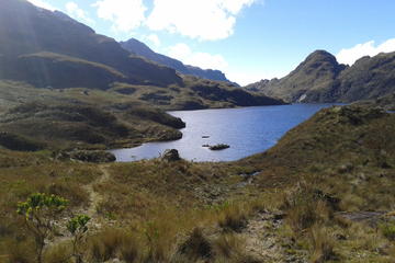 Cajas National Park and Cuenca City Tour