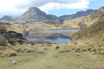 Cajas National Park Half Day Tour