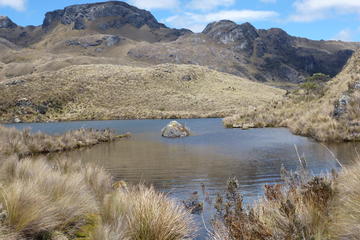 Cajas National Park Private Day Tour