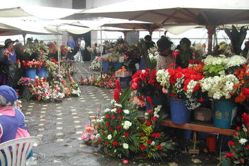 Gualaceo, Chordeleg Villages and Cuenca City Tour