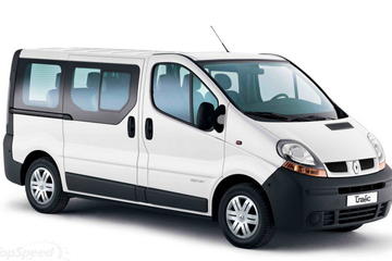Minivan half day with tour guide