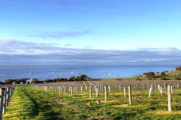 Kangaroo Island Shore Excursion: Food and Wine Trail Tour