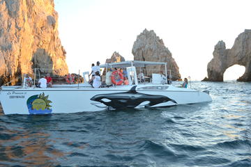 Snorkeling Catamaran Tour at Santa Maria Bay