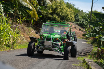 Drive and Fly - Buggy and Zipline