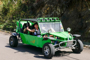Northern Sights - Buggy in the North