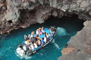 Zodiac Raft and Snorkeling Expedition in Kealakekua Bay