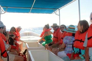 Los Cabos Day Tour: City Sightseeing, Glass-Bottom Boat Ride, Lunch and Shopping