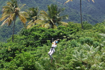 Morne Coubaril Estate Horseback Ride and Zipline