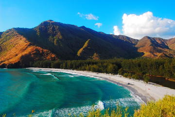 ISLAND HOPPING: CAPONES ISLAND & ANAWANGIN COVE WITH LUNCH & DINNER