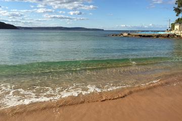 Sydney's Northern Beaches and Ku-ring-gai National Park Small-Group Tour