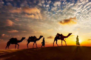 12-day Private Tour: Rajasthan and Camel Safari