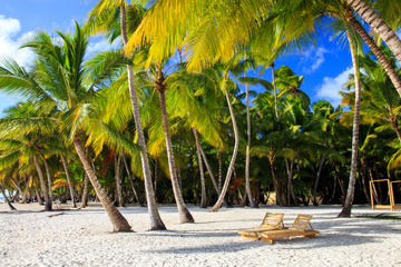 Beach Day Trip to Saona Island