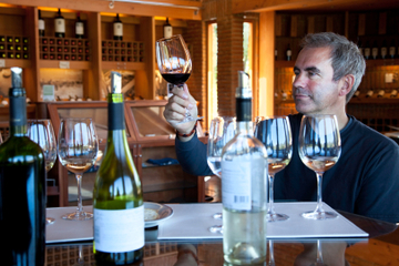 Vinho italiano e degustação de queijo...