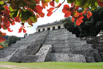 Palenque Archaeological Site Small-Group Tour from Villahermosa