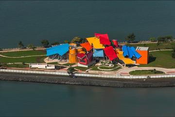 Biomuseo Admission Ticket with Lunch and Transportation