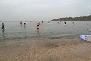 Stand Up Paddle Boarding Tour