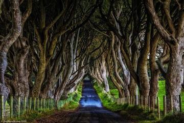 Game of Thrones Tour of Ireland's Causeway Coast